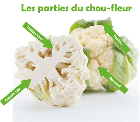 Schéma des parties consommées du chou et du chou-fleur