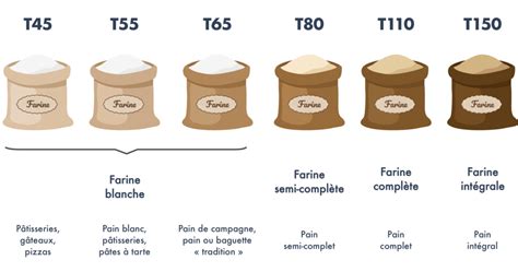 Tableau comparatif des types de farines de blé (T45, T65, T110, T150) et leur teneur approximative en fibres.