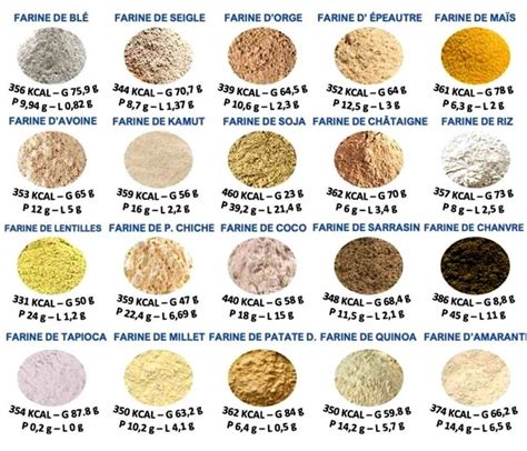 Différents types de farine disposés en cercle