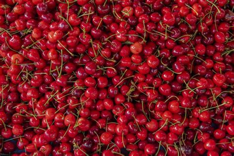 Assortiment de cerises fraîches