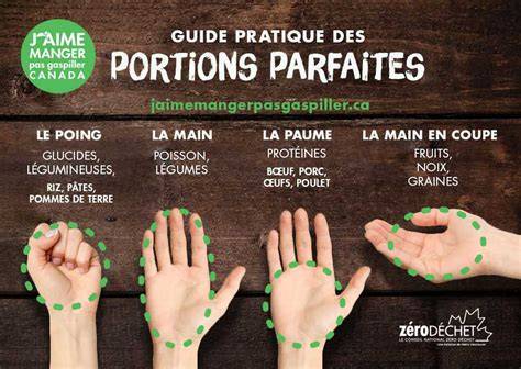 guide visuel portions paume main