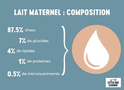 représentation graphique de l’allaitement et diversification