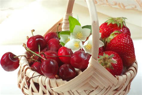 Panier rempli de divers fruits rouges saisonniers