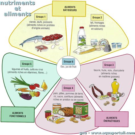 schéma des nutriments essentiels pendant la grossesse