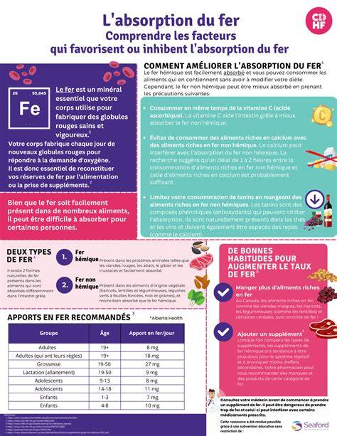 Infographie: Schéma des sources de fer et leur biodisponibilité