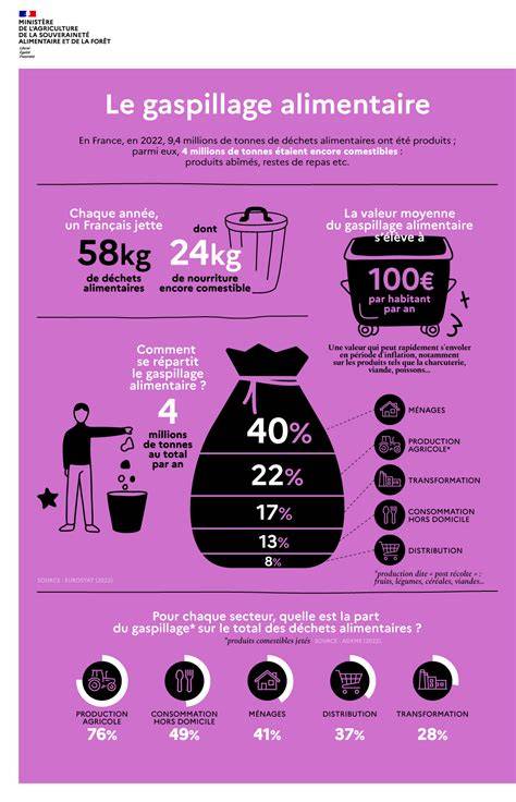 Infographie simple montrant les flux de gaspillage alimentaire domestique et communal