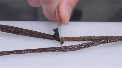 Gousse de vanille fendue et grains de riz