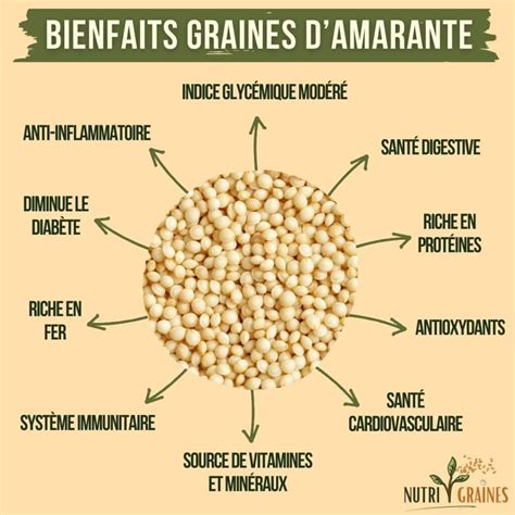 Graines d'amarante et fruits rouges