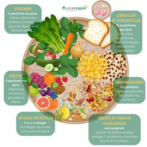 Schéma des proportions nutritionnelles quotidiennes