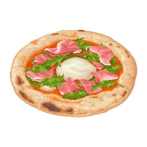 pizza illustration magret burrata garniture