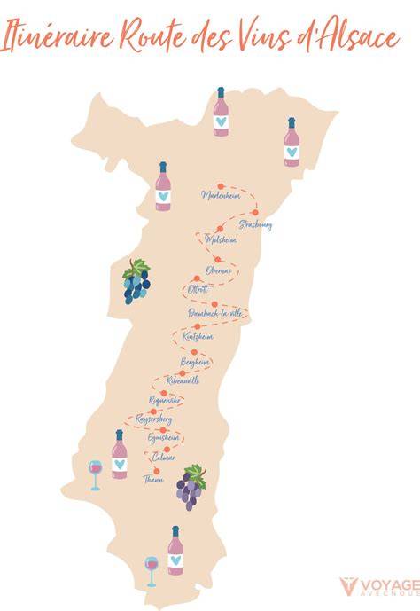 planche des vignobles d’Alsace pour l’accord vin-choucroute