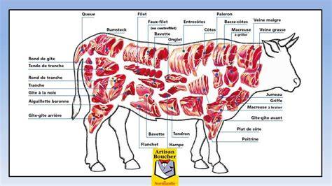 Infographie: répartition des calories selon les morceaux de bœuf