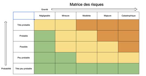 Diagramme des risques potentiels et précautions liées à l’extrait de pépins de raisin