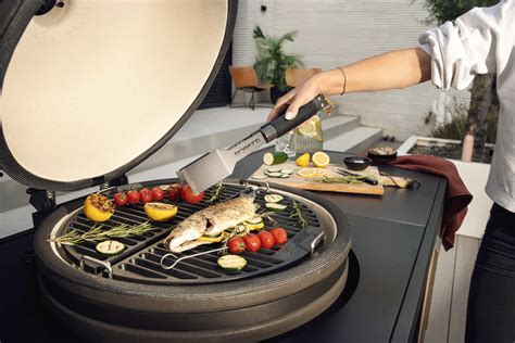 https://example.com/infographie-allumage-barbecue.jpg