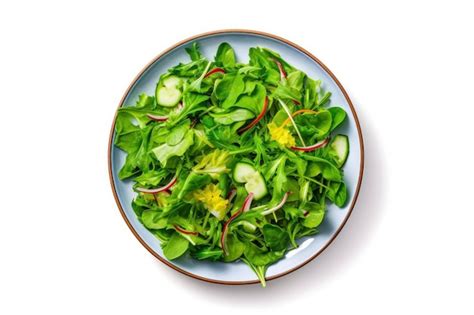 Salade verte fraîche