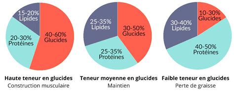 Infographie simple montrant les macronutriments (protéines, glucides, lipides) dans une portion de tiramisu