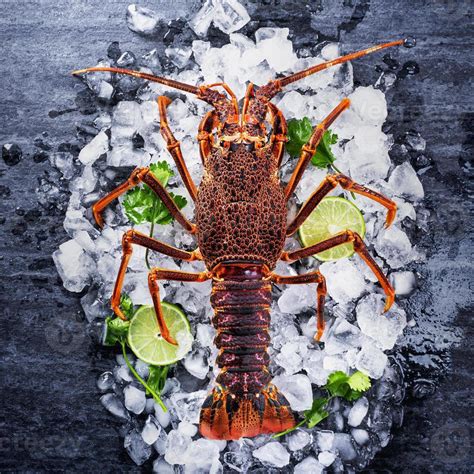 Langouste fraîche sur un marché tropical
