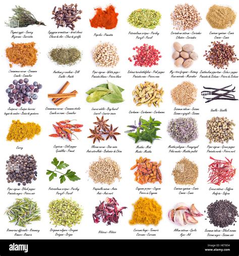 Assortiment d'épices et d'aromates caribéens