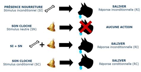 Illustration du chat de Pavlov réagissant à une cloche