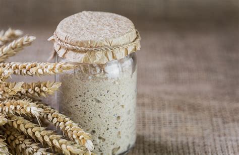 Culture de levain naturel dans un bocal