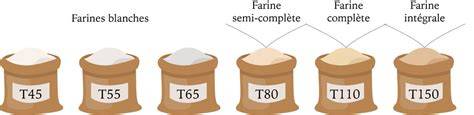 illustration schéma types de farines et cendres
