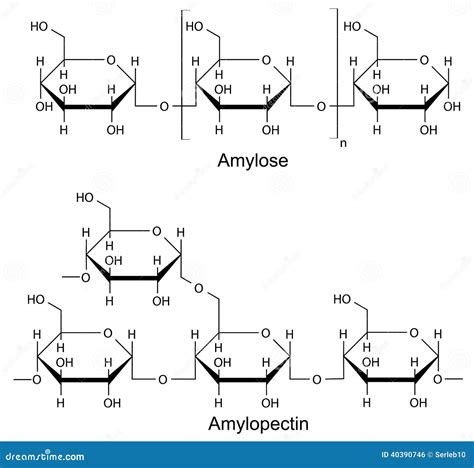 Structure chimique de l'amidon