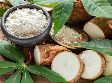 Manioc et produits dérivés