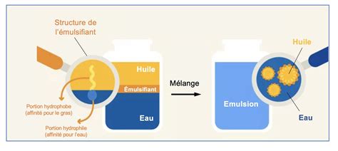 Diagramme expliquant l'action d'un émulsifiant