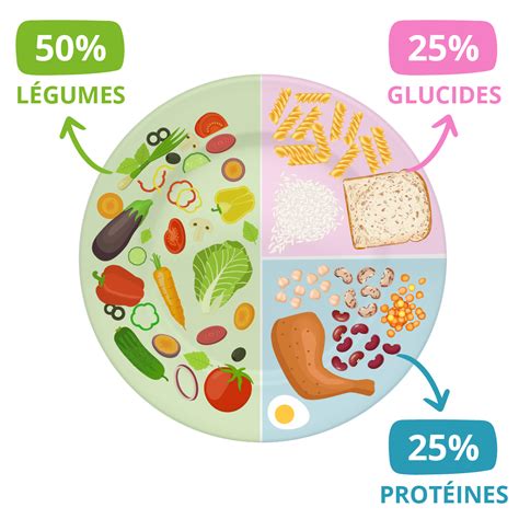 Représentation visuelle d'une assiette équilibrée