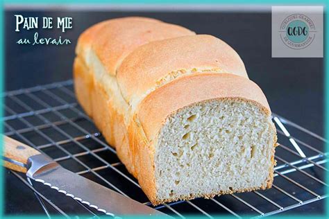 Structure alvéolée d'une mie de pain au levain