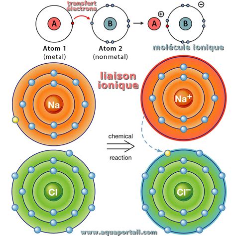 Schéma: réticulation ionique et formation de la membrane