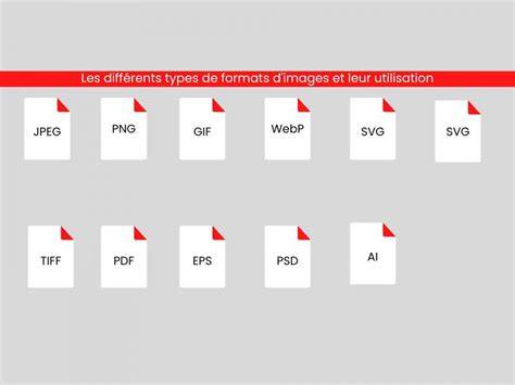 Infographie représentant les formats de pizza: 1/2 mètre et 60 cm