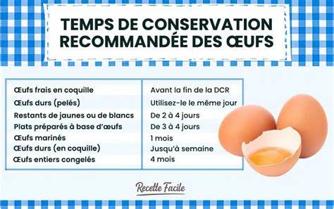 Infographie: cycles de conservation et astuces anti-gaspillage pour les œufs