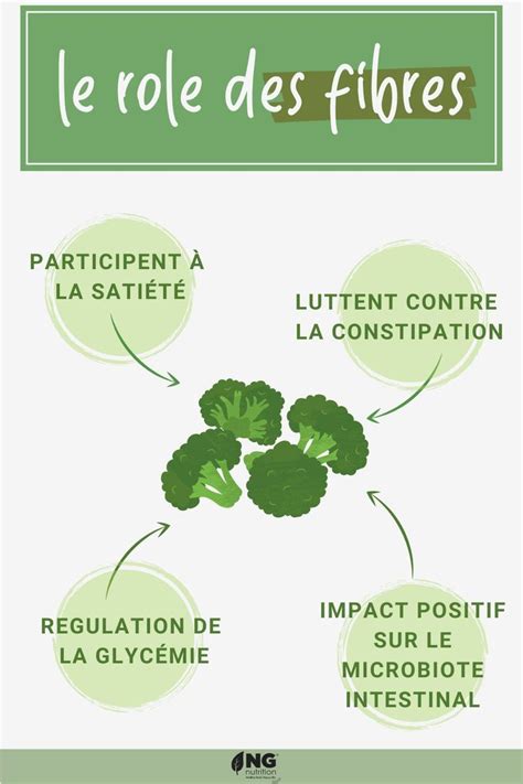 Infographie: Schéma du rôle des fibres et de l’hydratation dans le transit intestinal