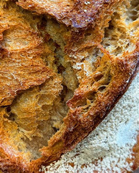 Gros plan sur la mie alvéolée d'un pain au levain