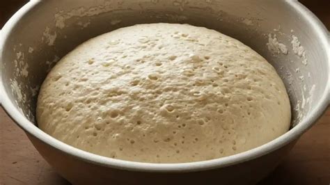 pâte à pain au levain dans un bol