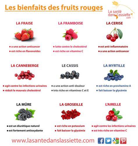 infographie aromes fruits rouges