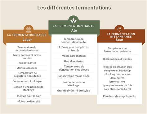 Infographie: Schéma des trois grandes familles de fermentation et des bienfaits