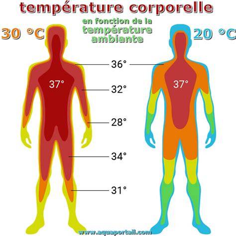 Illustration des points clés: température idéale, temps et étapes
