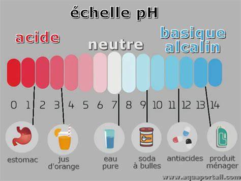 Schéma du bain alcalin et pochage