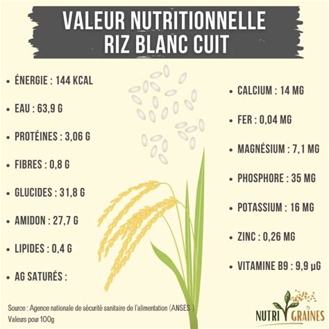 Schéma: Composition nutritionnelle du riz basmati cuit (par 100 g)