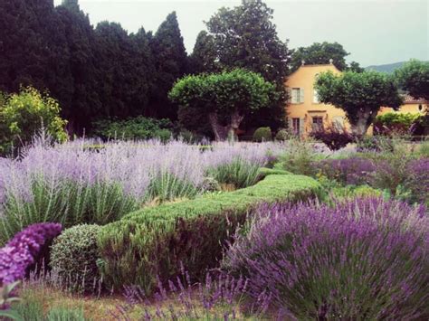 Jardin provençal en fleurs