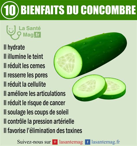 Infographie: Bienfaits nutritionnels du concombre et idées de recettes été