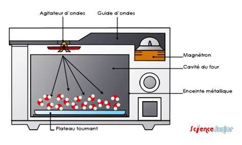 schéma cuisson four et micro-ondes