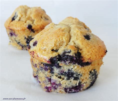 Muffins aux myrtilles fraîchement sortis du four