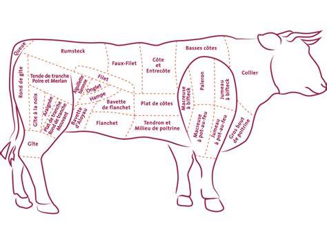 Infographie: schéma des zones du paleron et des méthodes de cuisson