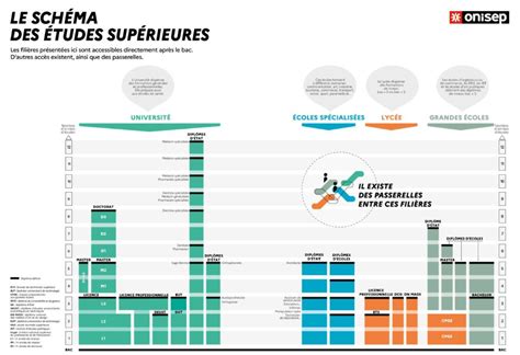 Schéma des parcours professionnels et diplômes