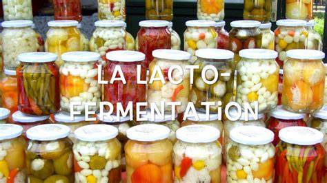 illustration_lacto_fermentation_tomates
