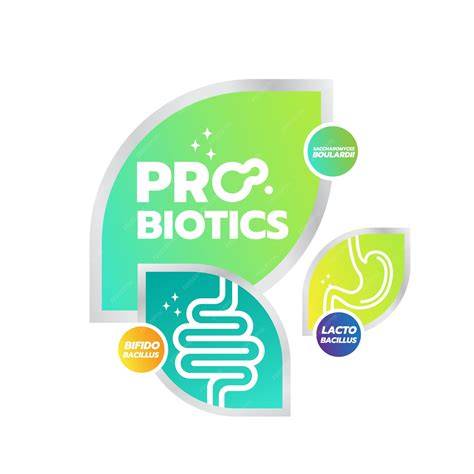 illustration_probiotiques_choucroute
