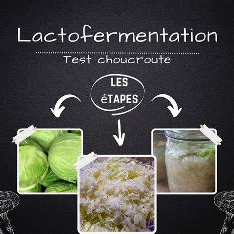 etapes_fermentation_choucroute_maison